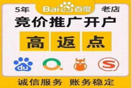 初学者的百度竞价推广：成功案例揭秘